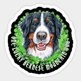 One Lucky Bernese Mountain Funny St. Patrick Dog Sticker